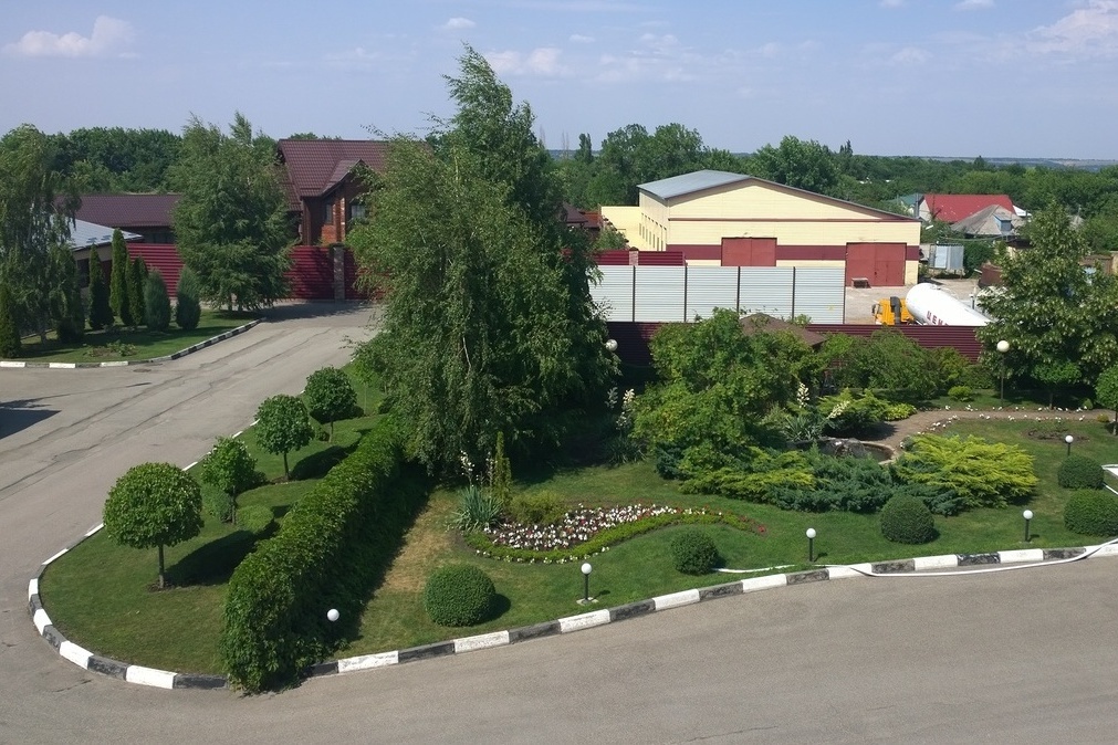 Image alt